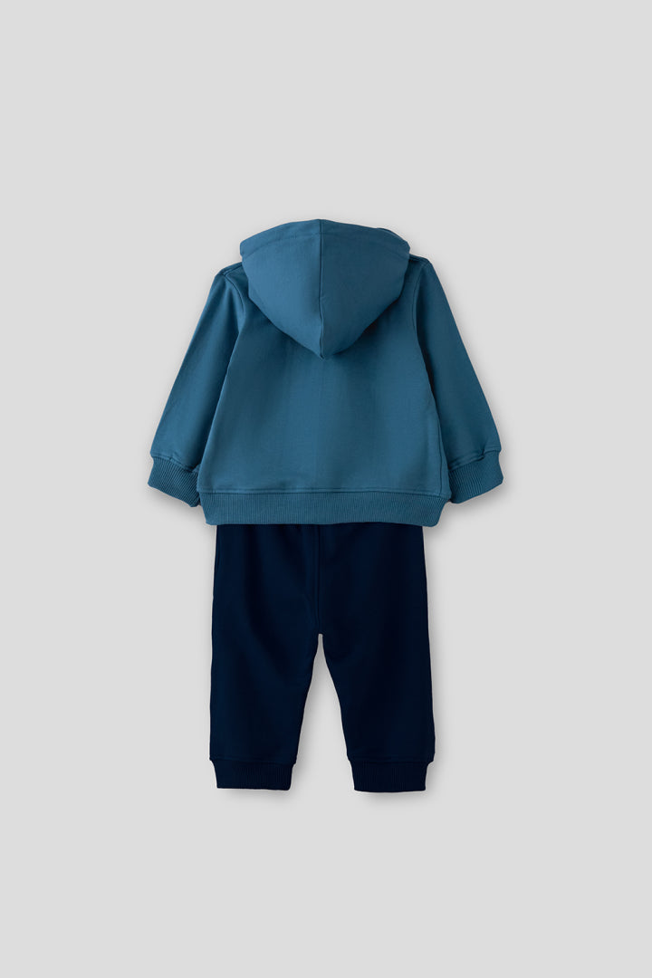 Conjunto dinosaurio