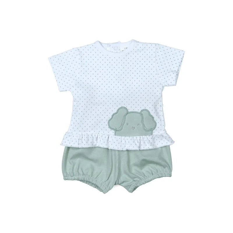 Conjunto perrito